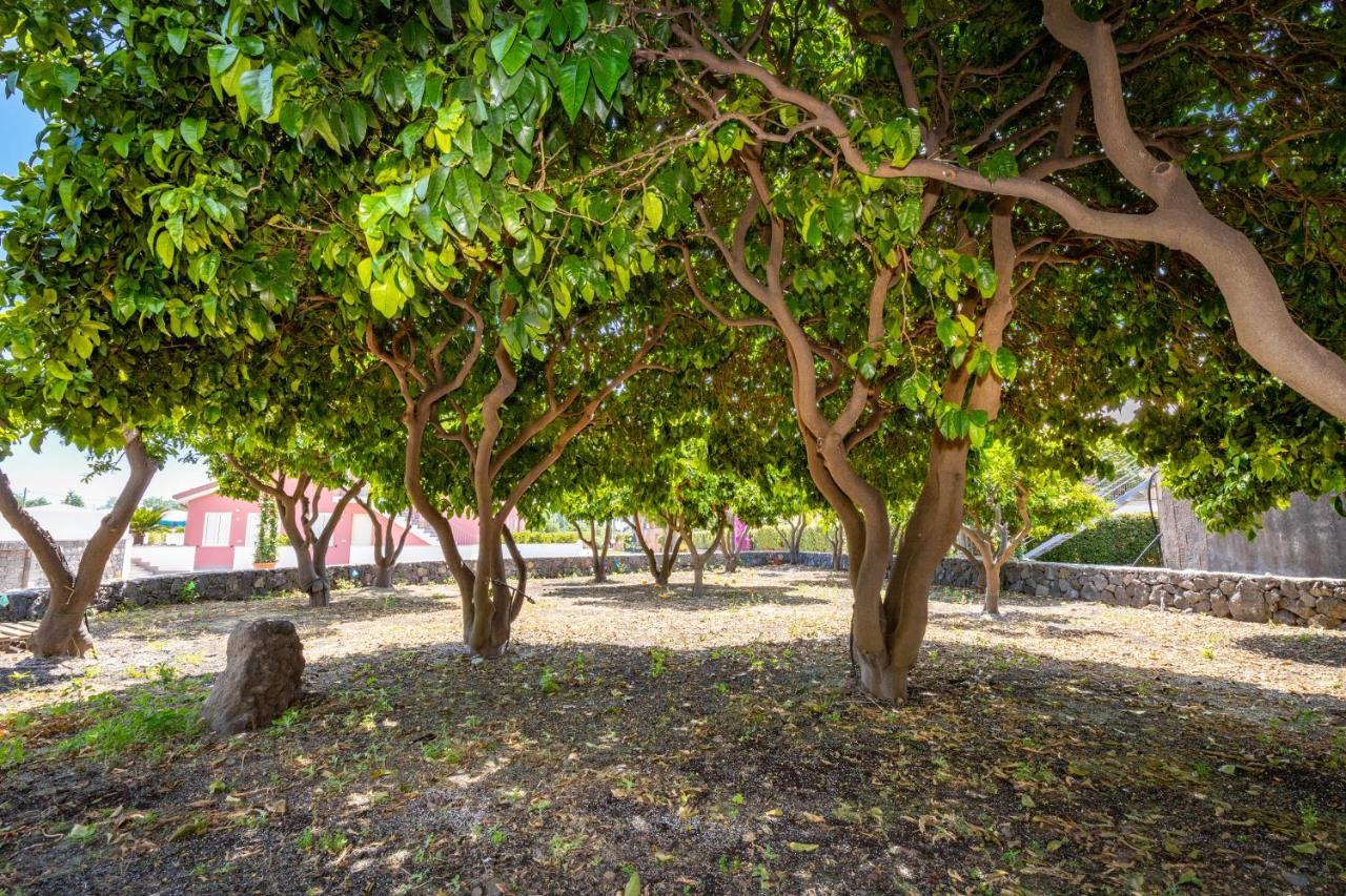 Dipladenia Garden Country Resort Mascali Exterior foto